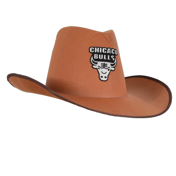 WB Шляпа Ковбой Chicago Bulls