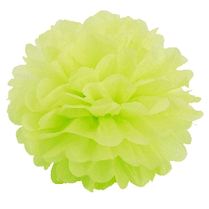 Q Помпон бумажный 20см салатовый