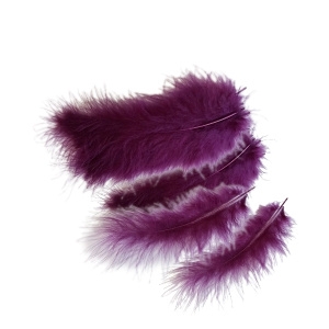 Y Перья сливовые 30шт